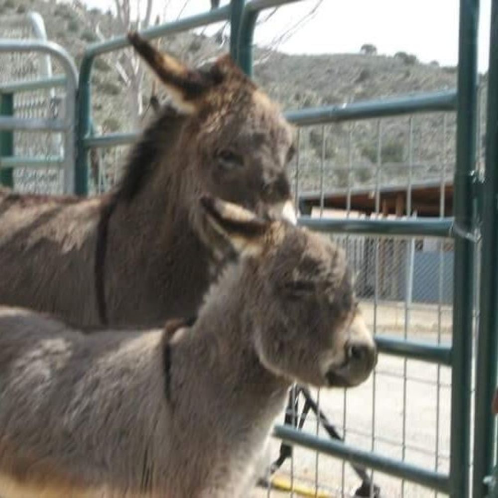 Meet your Posher, Ona